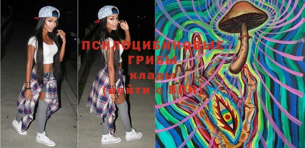 круглые Богородицк