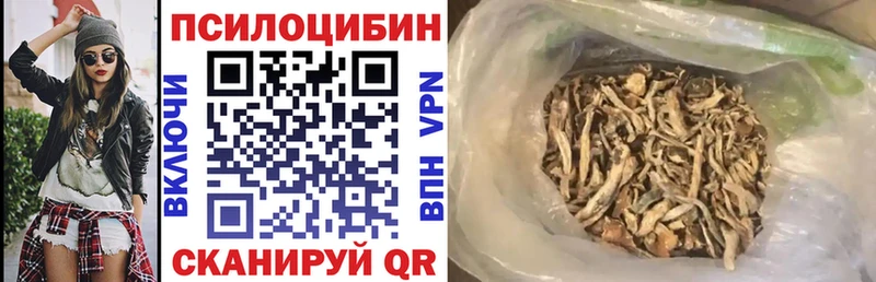 Галлюциногенные грибы Psilocybe  Купить  Новая Ляля 